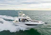 boston whaler on the water