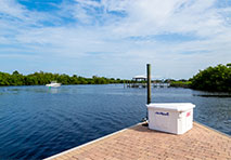 cooler on dock