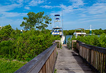 walkway to boat in water