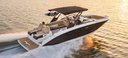 Sea Ray SDX 290