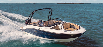 Sea Ray SPX 190 Outboard