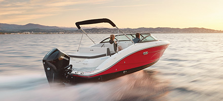 Sea Ray SPX 210 Outboard